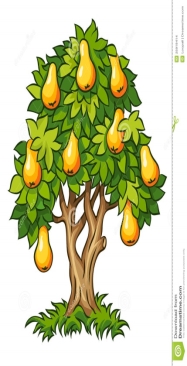 Описание: https://thumbs.dreamstime.com/z/pear-tree-ripe-fruits-25919414.jpg